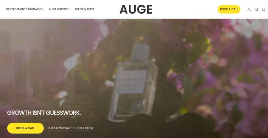 AUGE Agency website