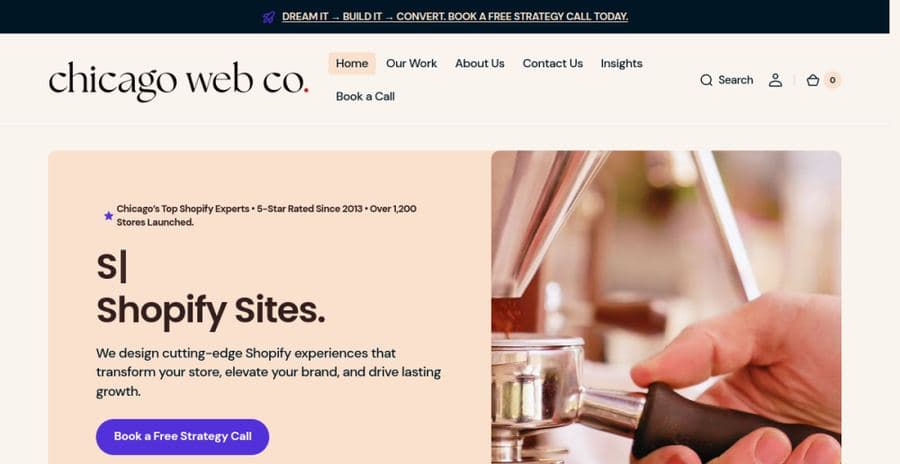 The Chicago Web Co. website