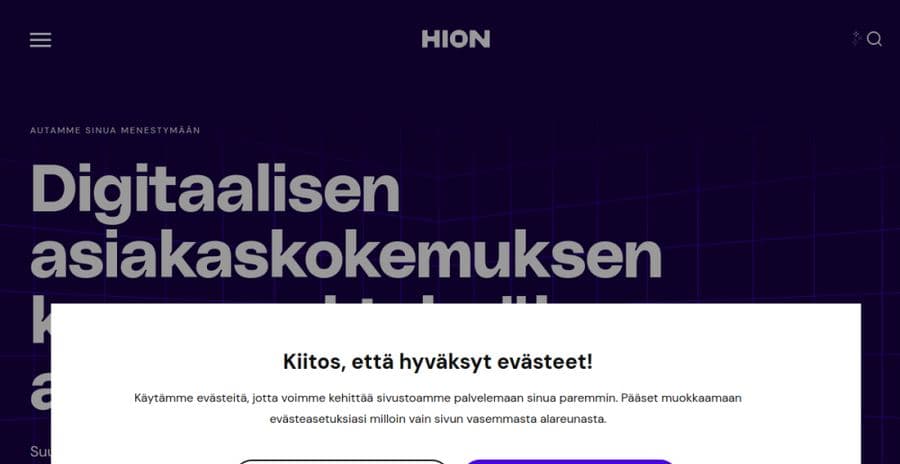 Hion Digital website