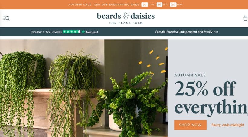 Beards & Daisies storefront, a client of Squashed Pixel