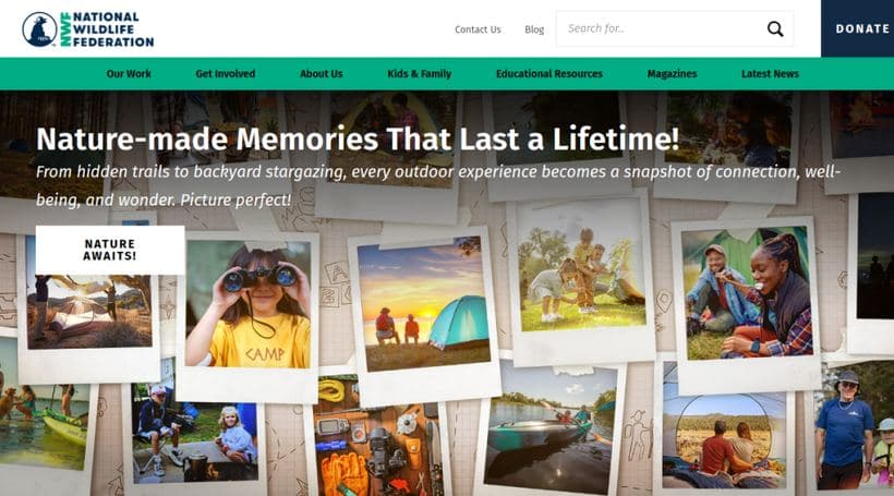 National Wildlife Federation storefront, a client of Codup