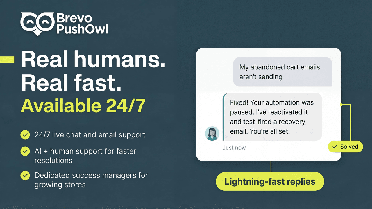 Brevo PushOwl showing web push, email and SMS channels together.