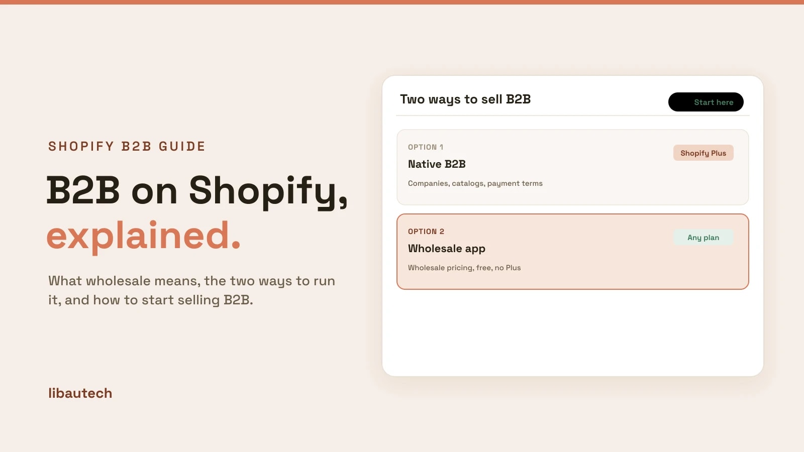 A guide panel showing the two ways to sell B2B on Shopify: native B2B on Plus, or a wholesale app on any plan.
