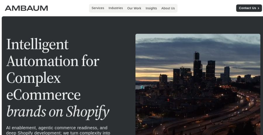 Ambaum website
