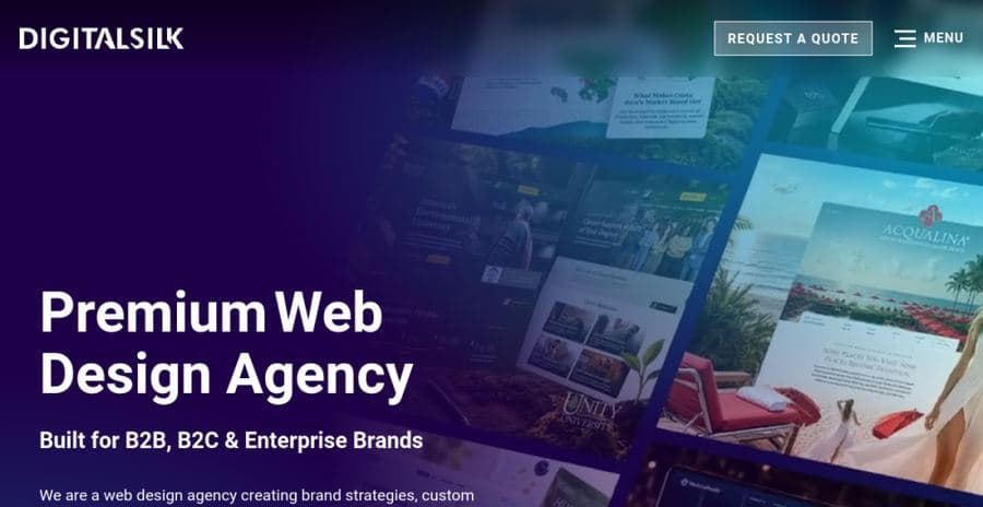 Digital Silk website