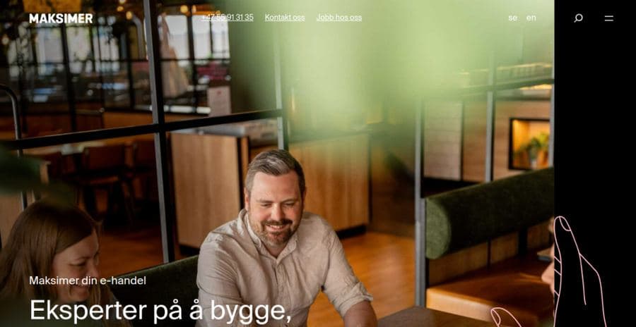 Maksimer website