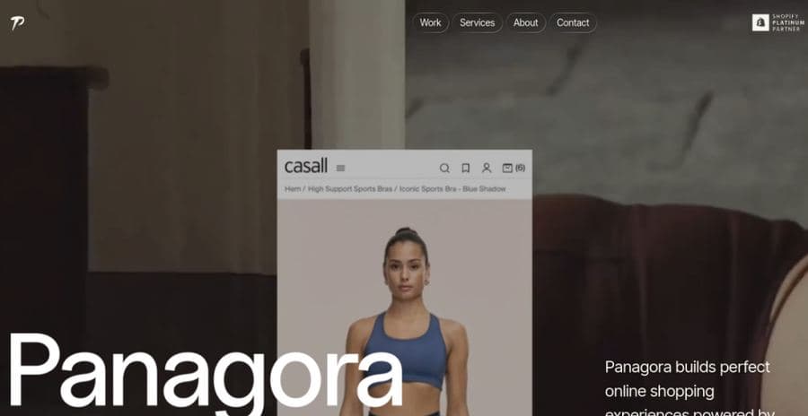 Panagora website