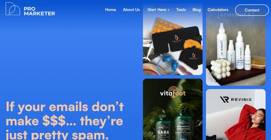 Pro Marketer website