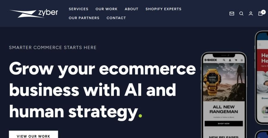 Zyber website