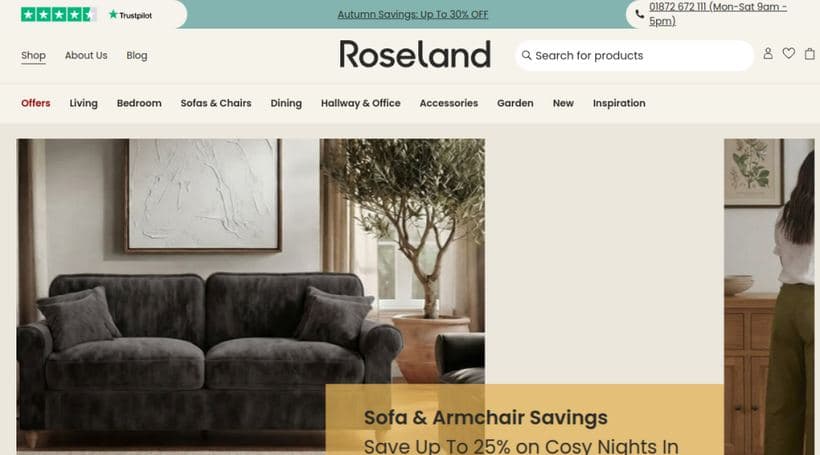 Roseland Furniture storefront, a client of Underwaterpistol