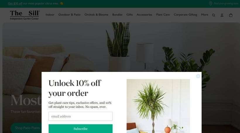 The Sill storefront, a client of Bear Group